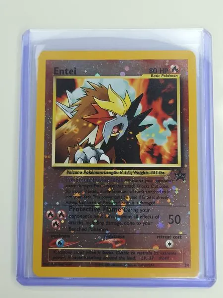Entei sleeved front